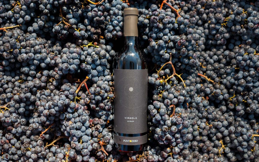 Syrah nei Colli Berici: caratteristiche, degustazione e abbinamenti
