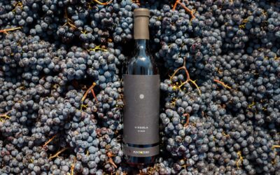 Syrah nei Colli Berici: caratteristiche, degustazione e abbinamenti