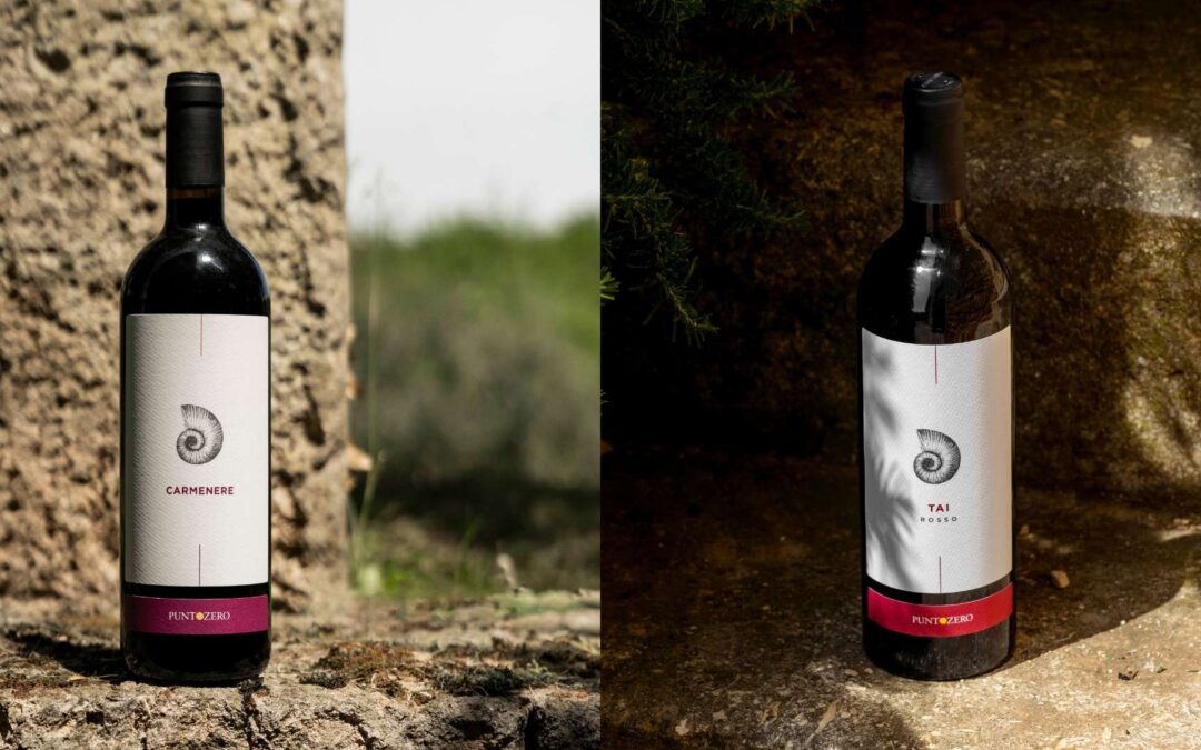 Tai Rosso e Carmenère: due vitigni che raccontano l’identità dei Colli Berici