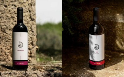 Tai Rosso e Carmenère: due vitigni che raccontano l’identità dei Colli Berici